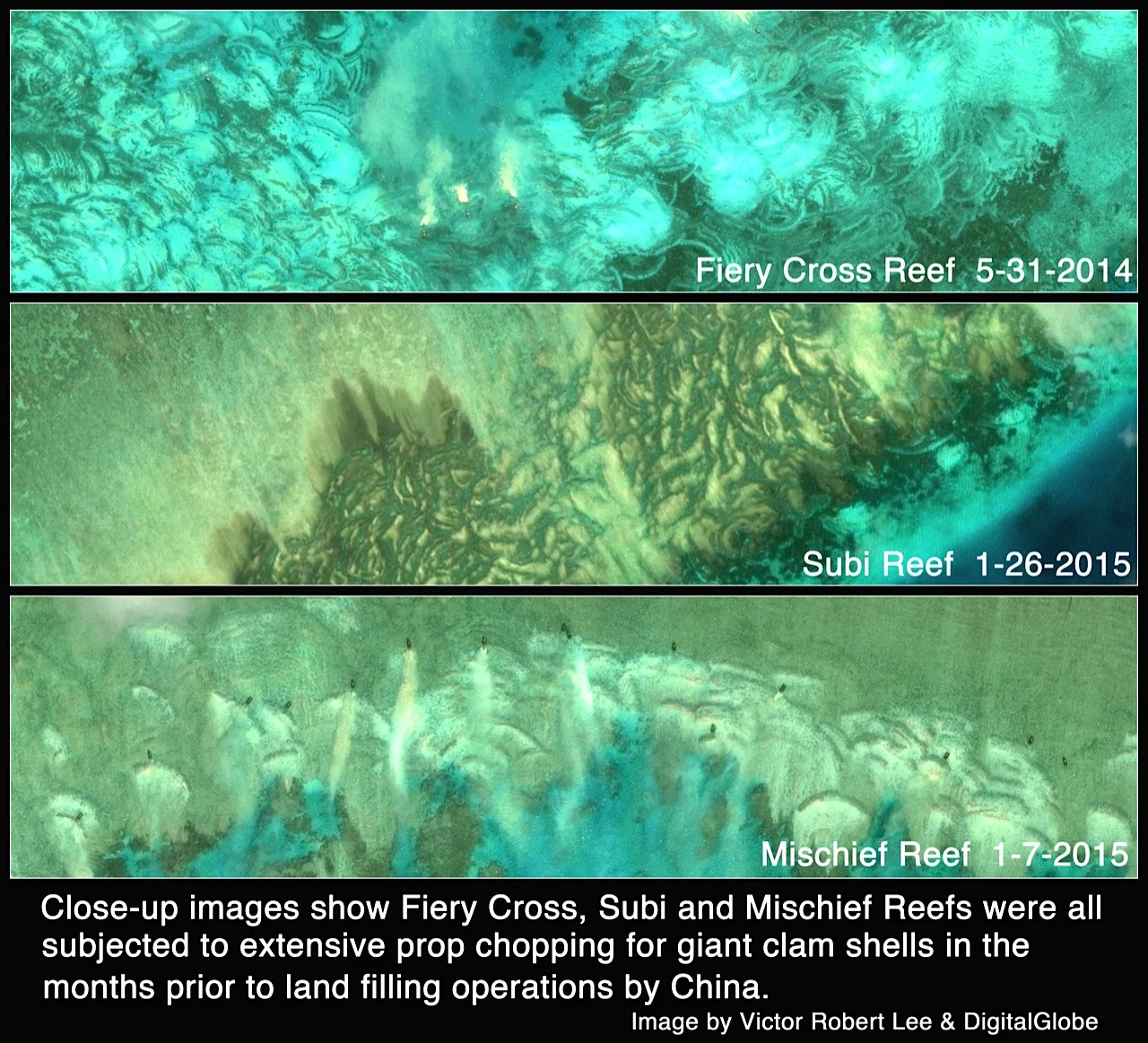 Image by Victor Robert Lee and DigitalGlobe