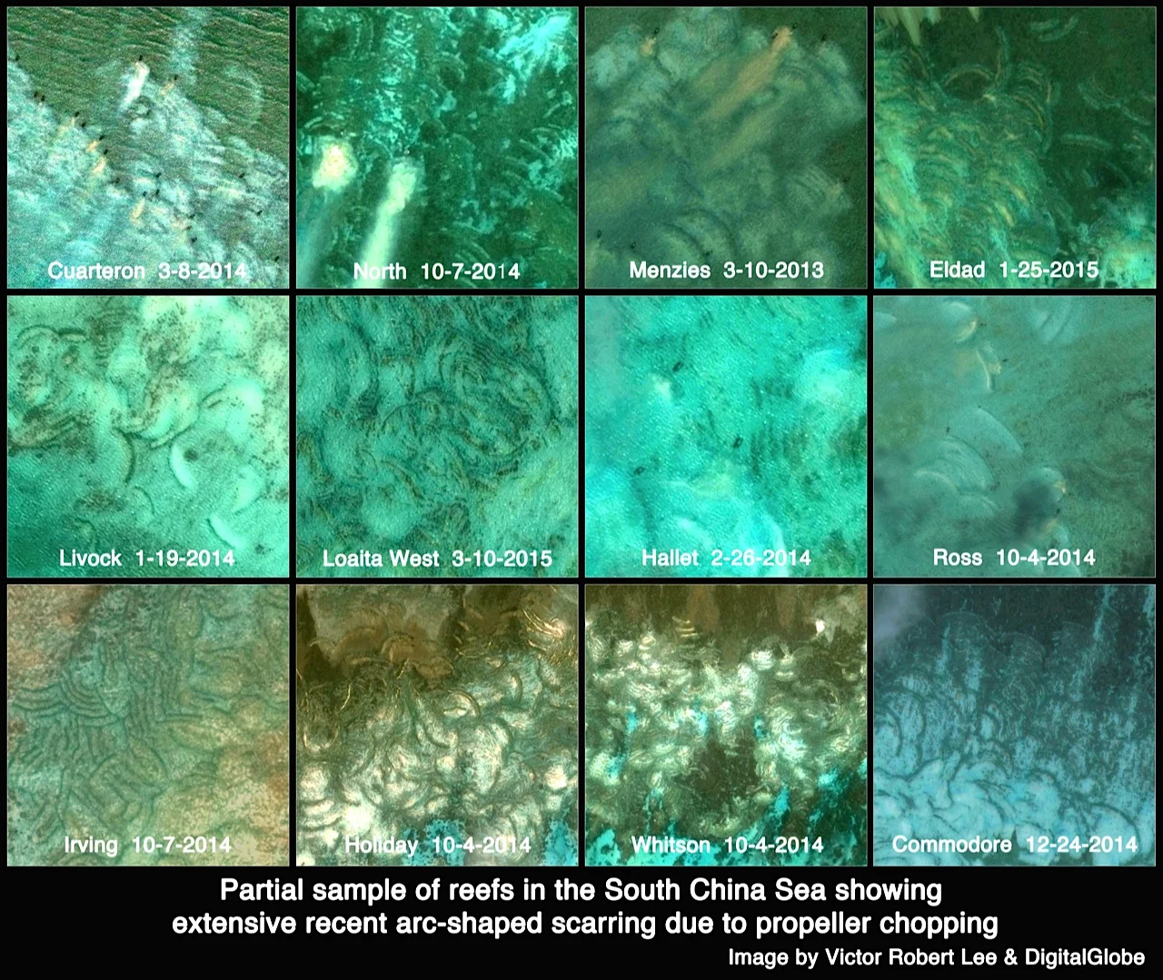 Image by Victor Robert Lee and DigitalGlobe